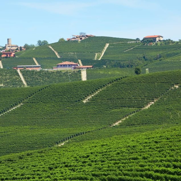 Franciacorta